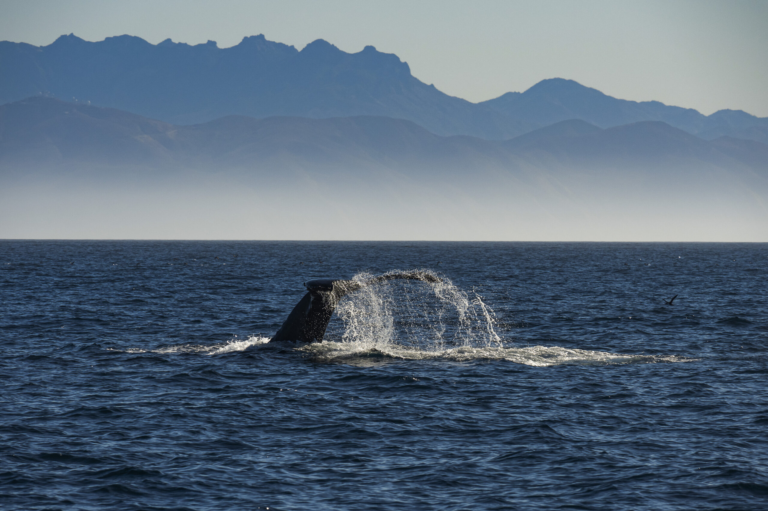 Ventura County Coast (1)