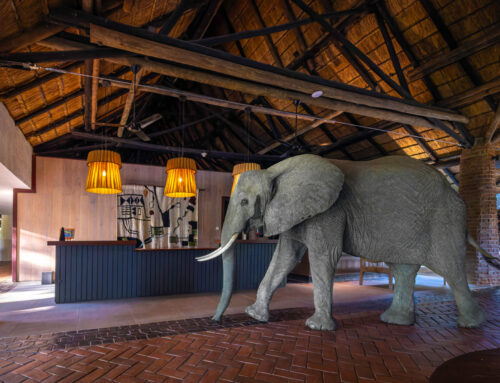 Down on The Farm: Where Agriculture Cultivates More Sustainable Safaris