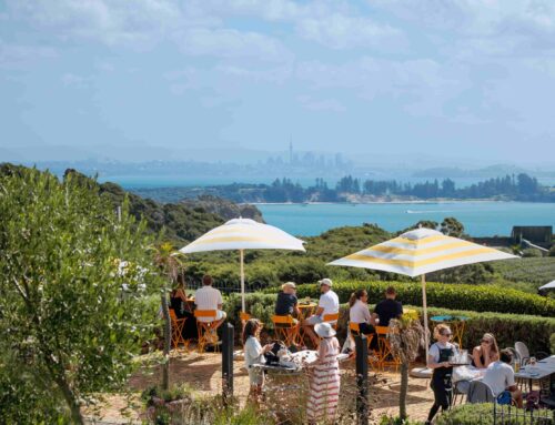 New Zealand Wines Keep Getting Better. Here’s Why.