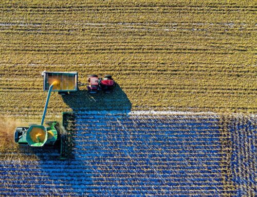 Unearthed Crisis: Modern Farming’s Role in the Depleted Soils of America