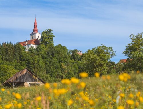 Foraging Has Made a Comeback in Slovenia. Here’s Why.