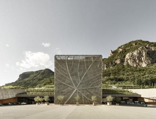 Design Meets Dirt: The Winery Keeping Growers in the Dolomites
