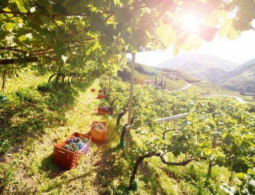 Azure Road Impact Award Drinks Finalists