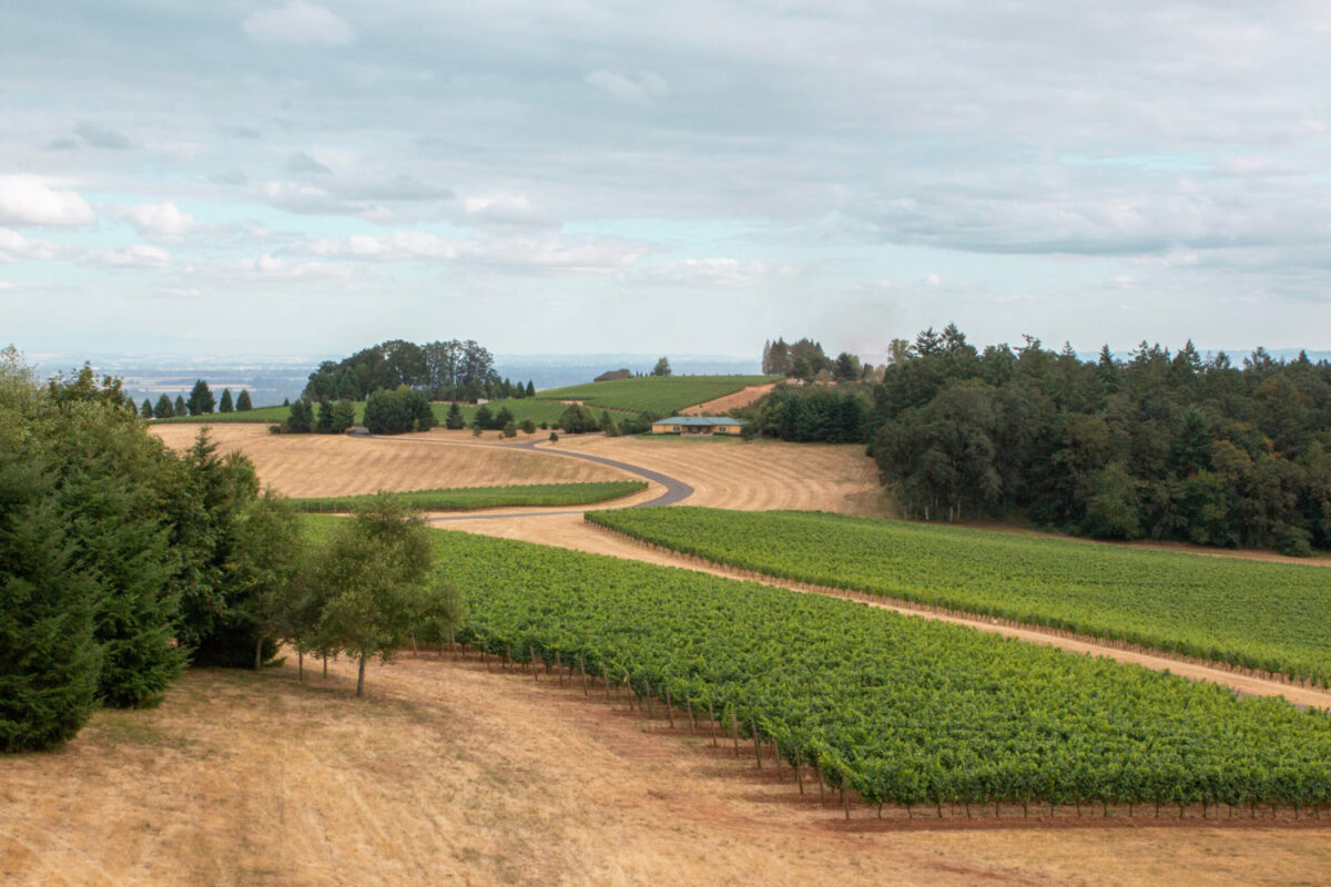 HOME - AZURE ROAD - Azure Road