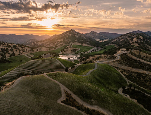 One Winery’s Answer to Napa’s Changing Wine Market