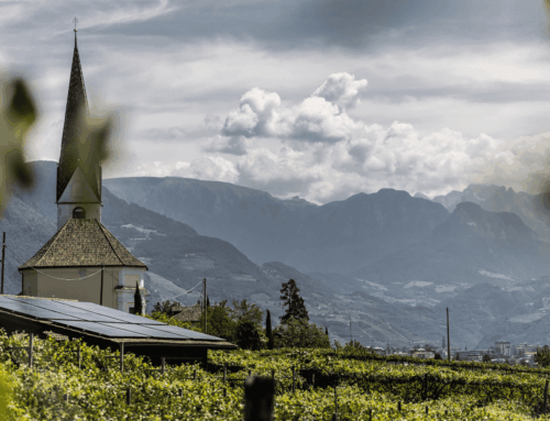 Crafting Alto Adige’s Future: The Evolution of Cantina Colterenzio