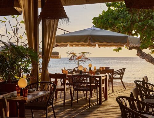 From Imports to Island Grown, Inside Grand Cayman’s Farming Revival