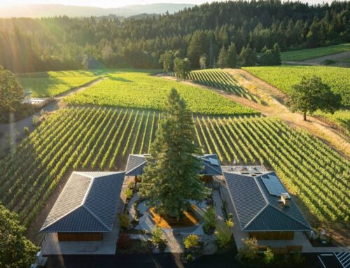 Ambar Estate Is Farming for Tomorrow in Oregon’s Willamette Valley