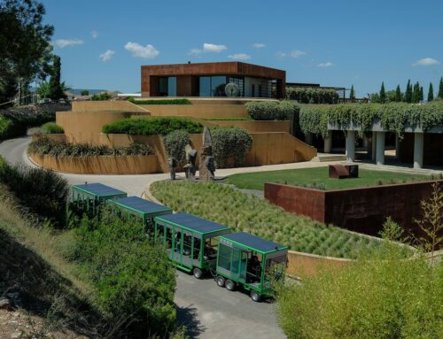 Exploring Penedès, Spain’s Sparkling Wine Paradise