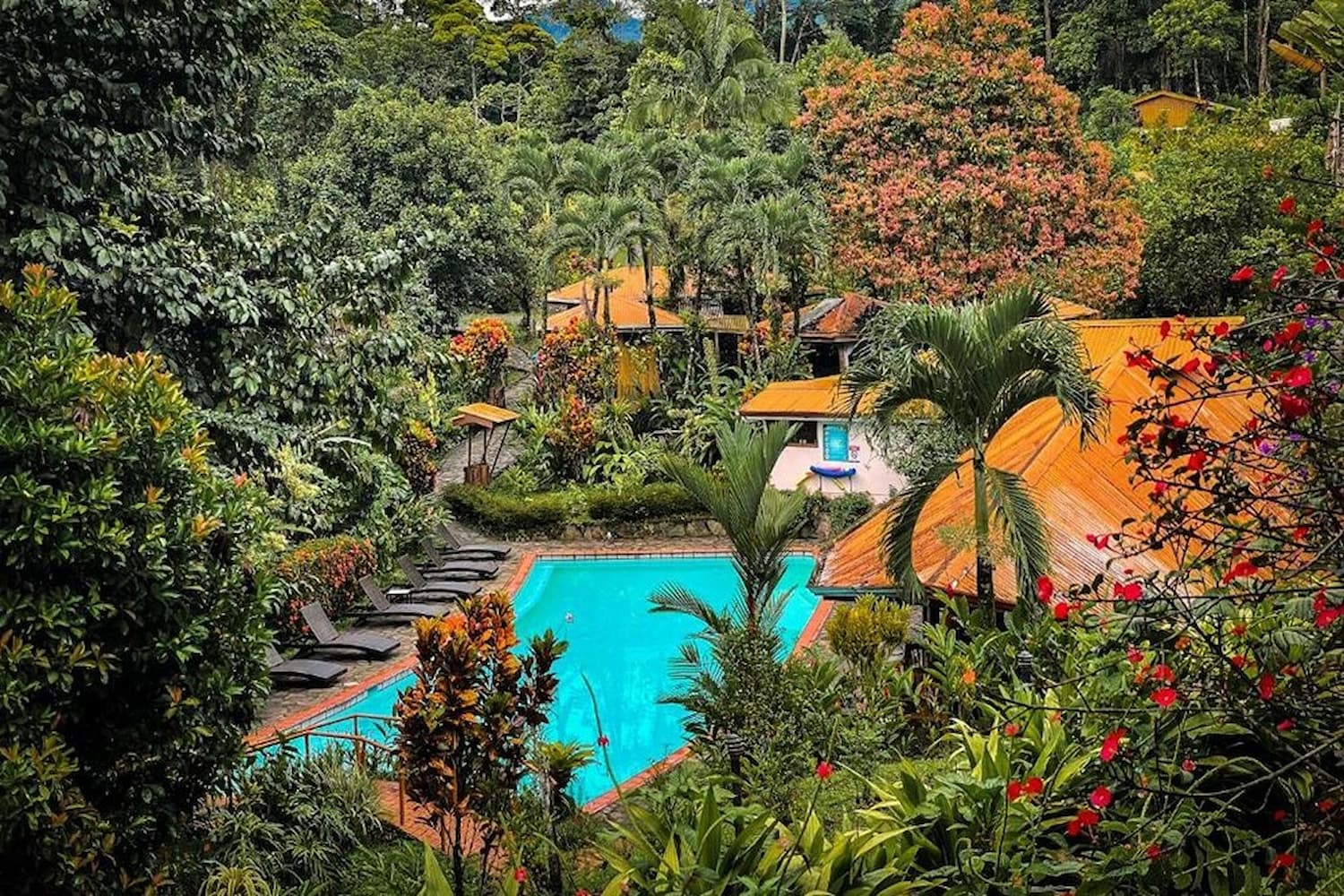 Escape to the jungle at Finca Nueva Luna Lodge (1)