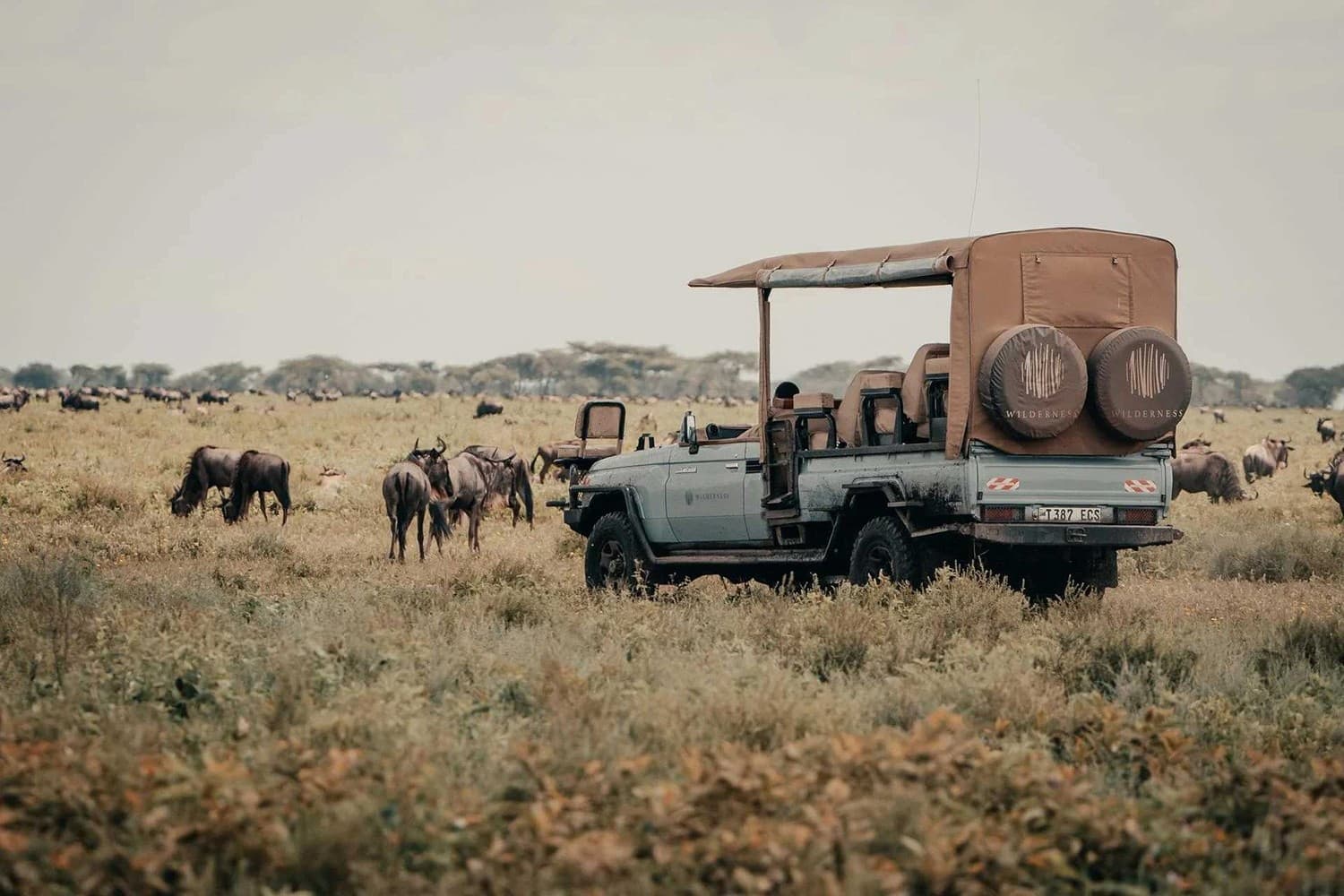 Exploring with Wilderness Safaris