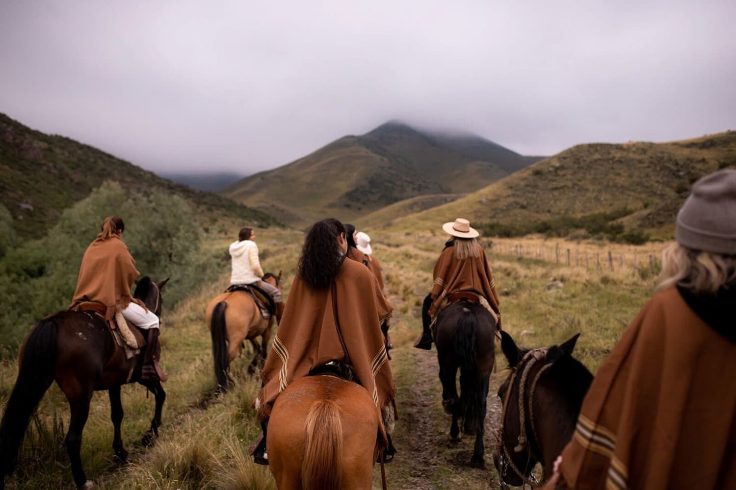 Horseback rides with Wild Terrains