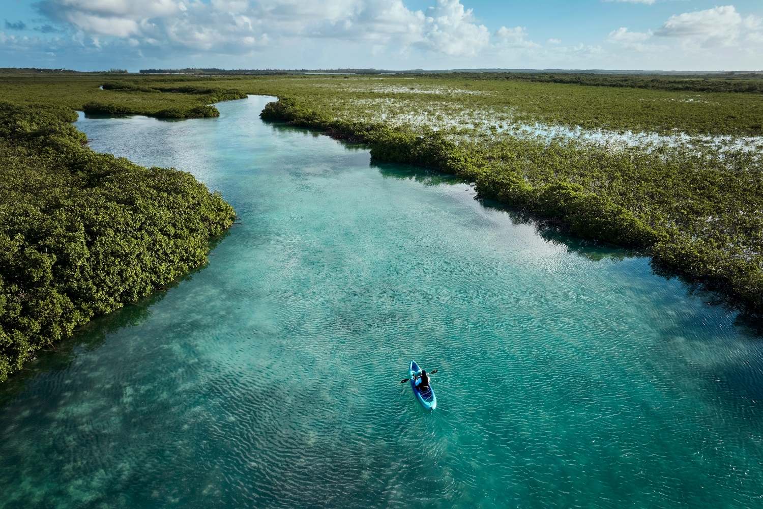 Kayaking in the mangroves. Courtesy of Courtesy of COMO Parrot Cay