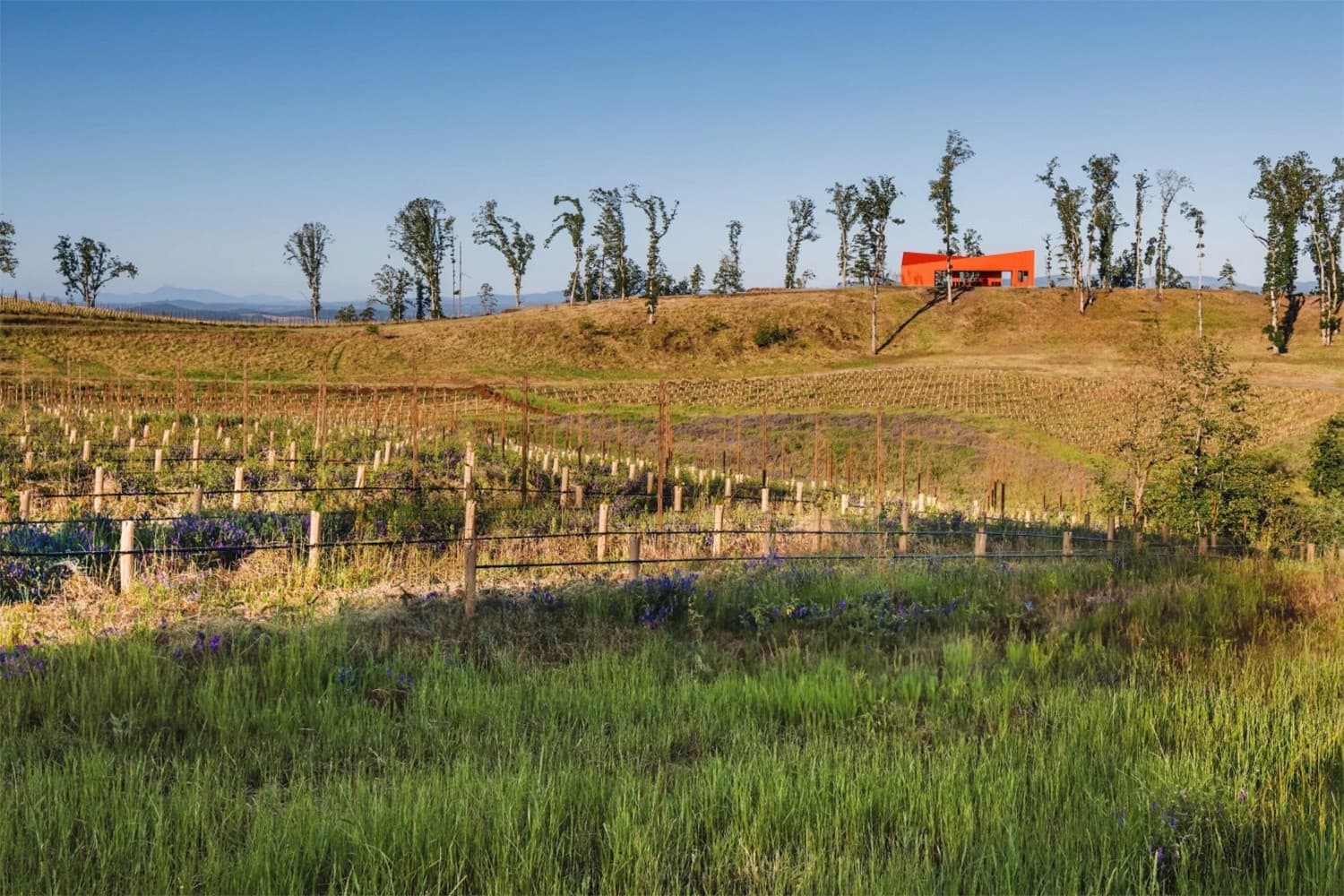 View of the Corollary tasting room