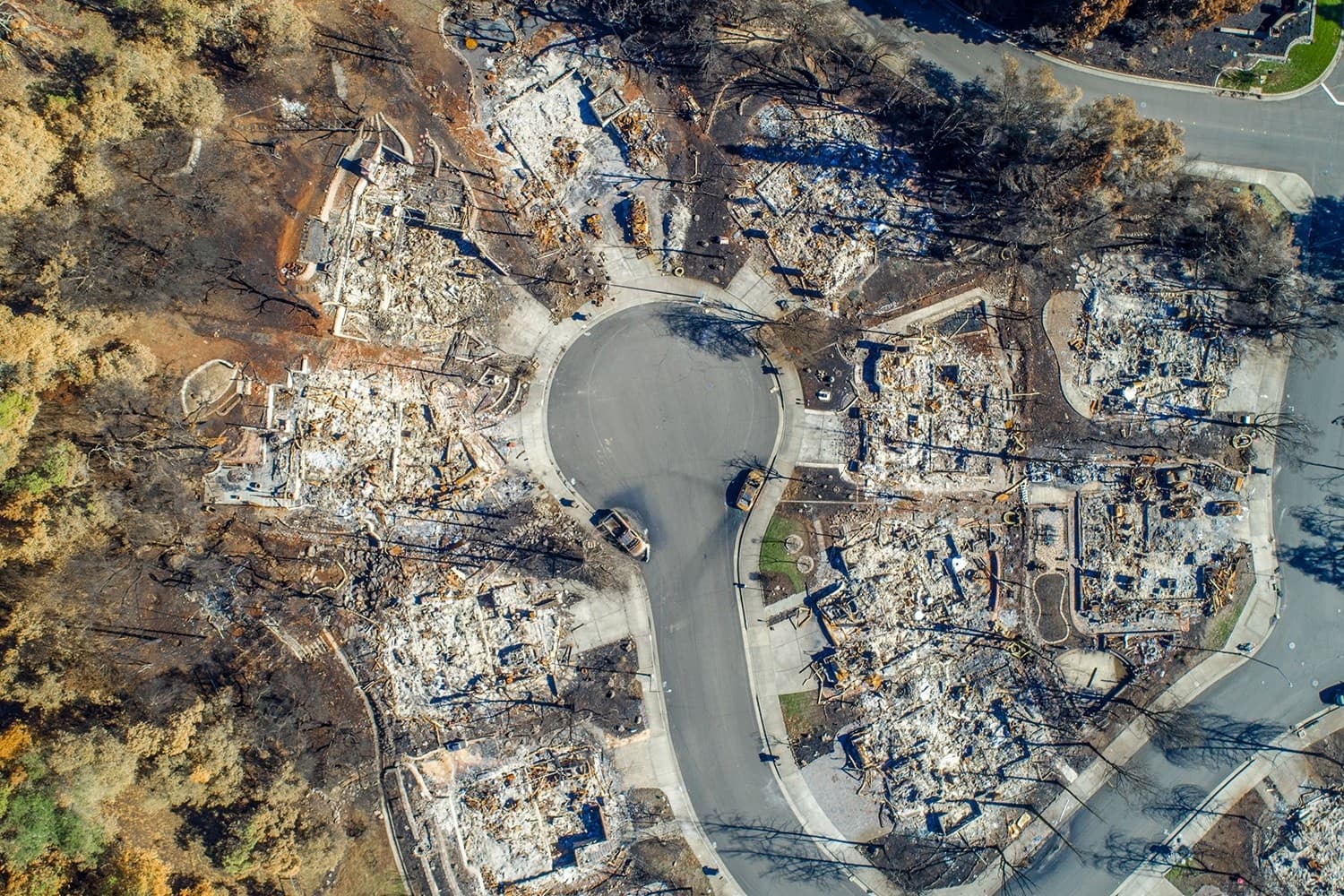 A burned neighborhood after a wildfire