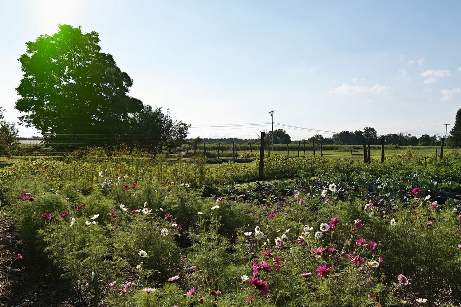 A garden at Farmstead Hudson Valley