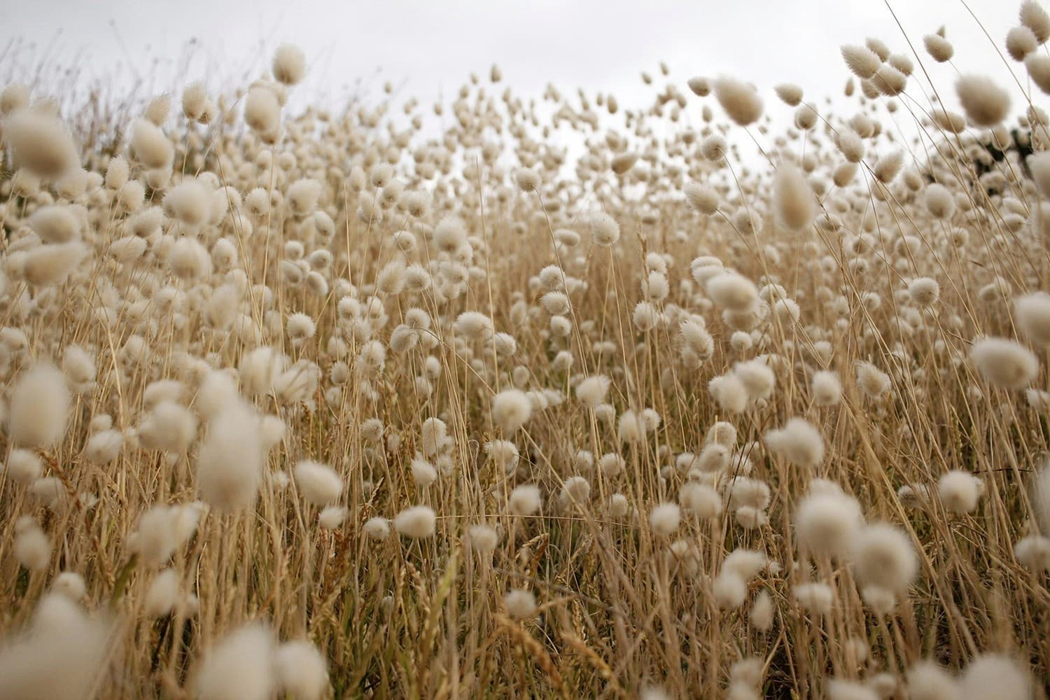 Experts recommend clothing from natural materials like cotton