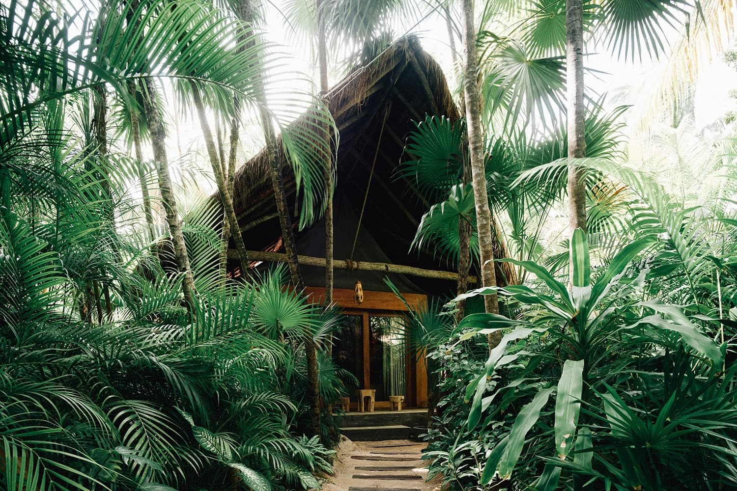 Jungle stays at Nomade