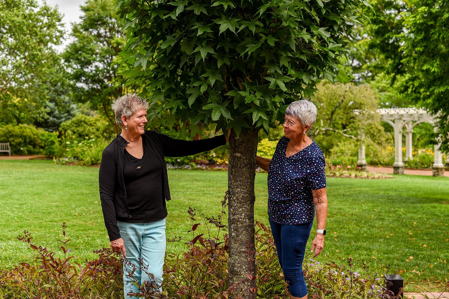 A memorial tree at the NEBG