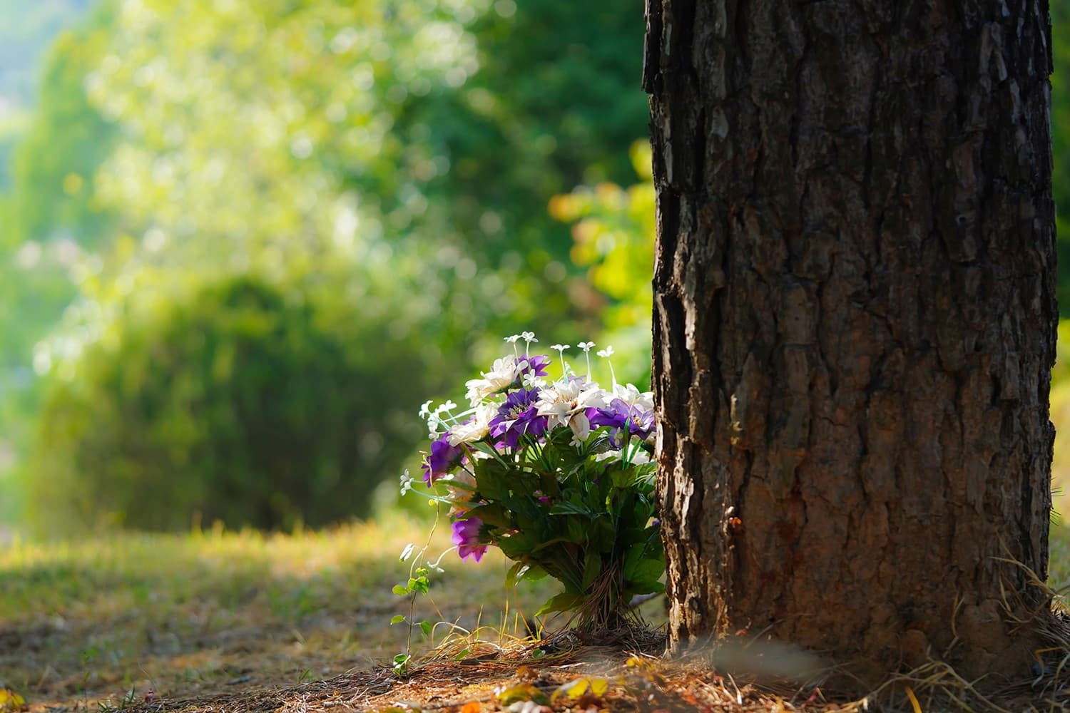 A remembrance left against a memorial tree
