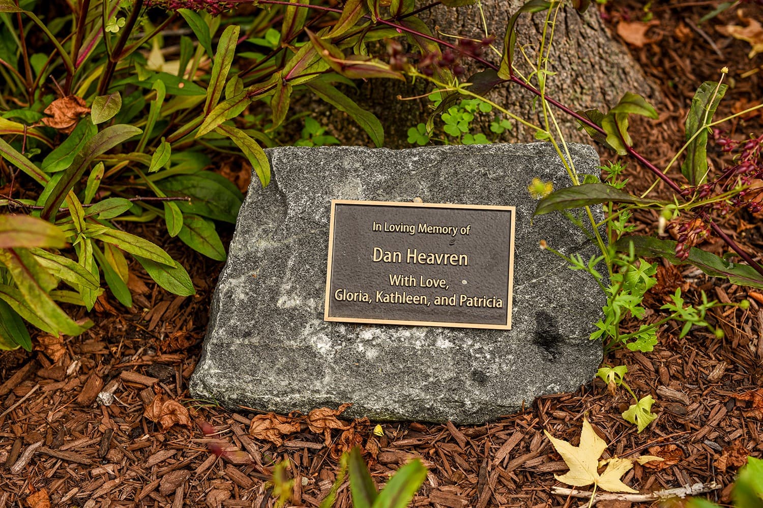 One of the plaques marking a living memorial
